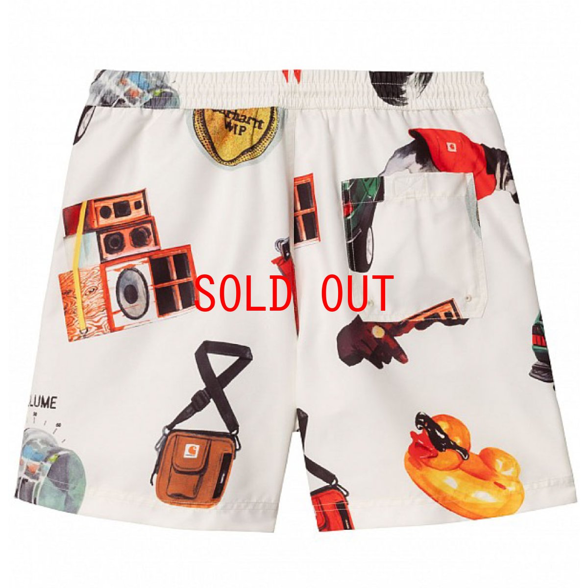 画像3: Slater Swim Jacob Rochester Print Shorts 水陸両用 スイム ショーツ ハーフ パンツ (3)