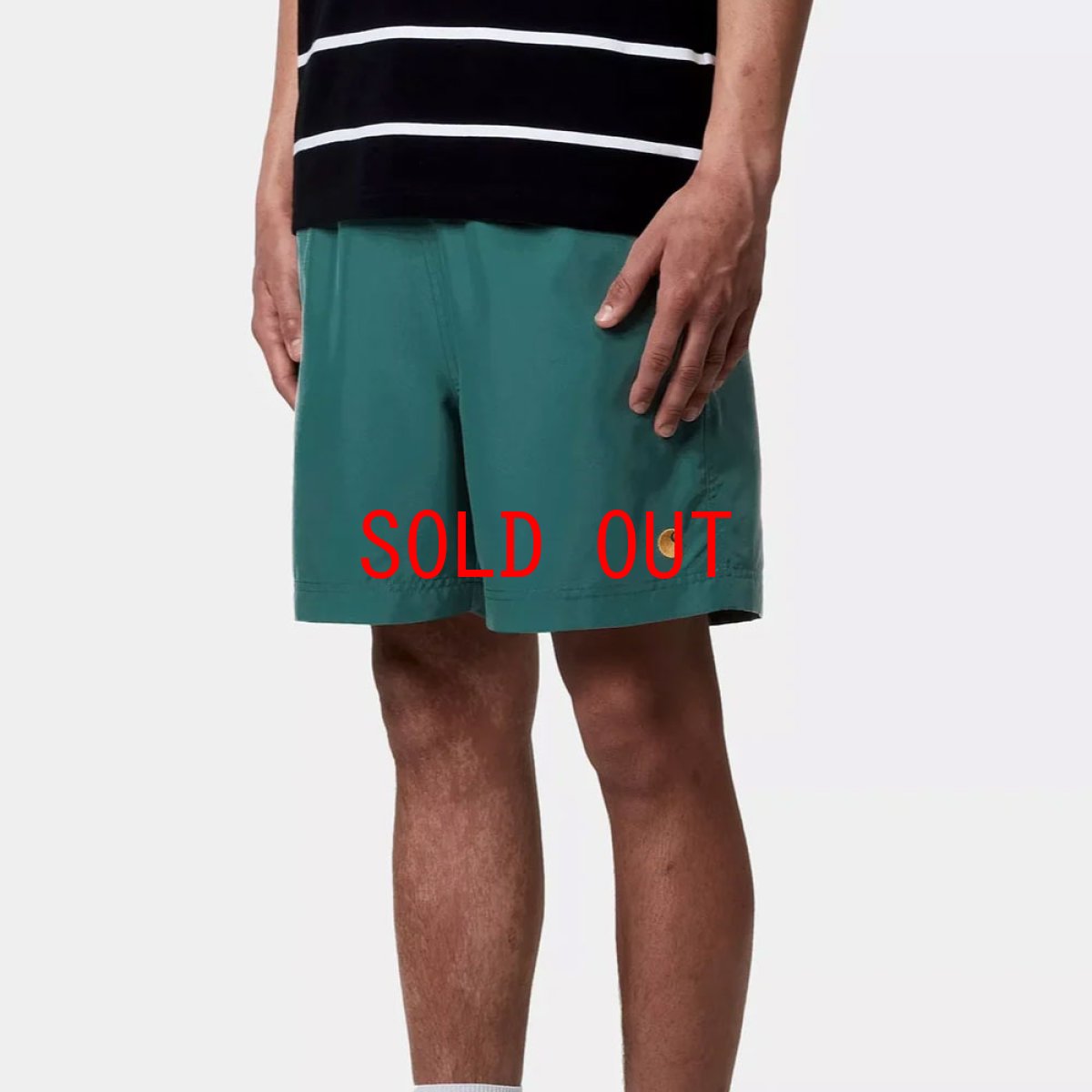 画像9: Chase Swim Trunks GRN 水陸両用 スイム トランクス ショーツ パンツ (9)