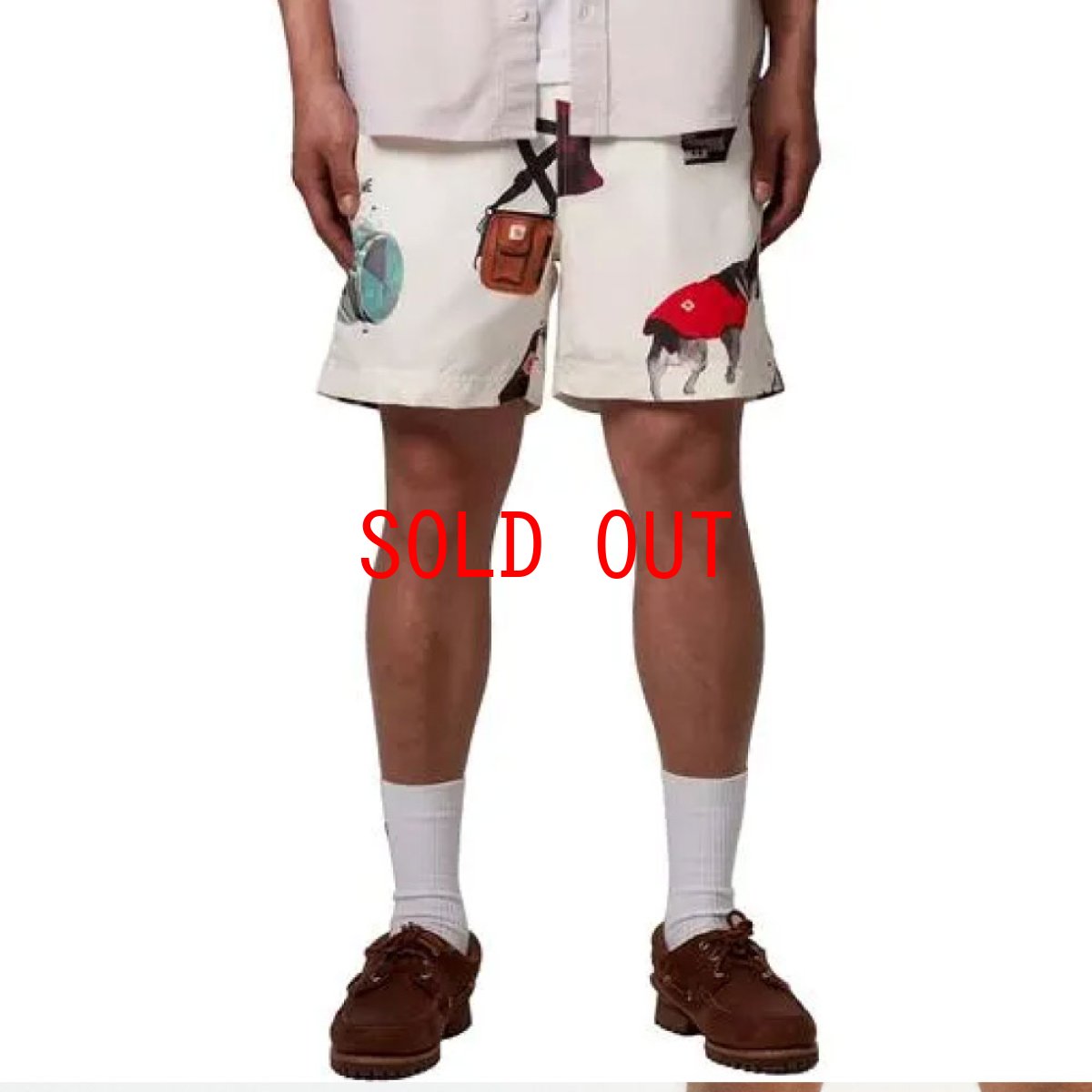 画像4: Slater Swim Jacob Rochester Print Shorts 水陸両用 スイム ショーツ ハーフ パンツ (4)