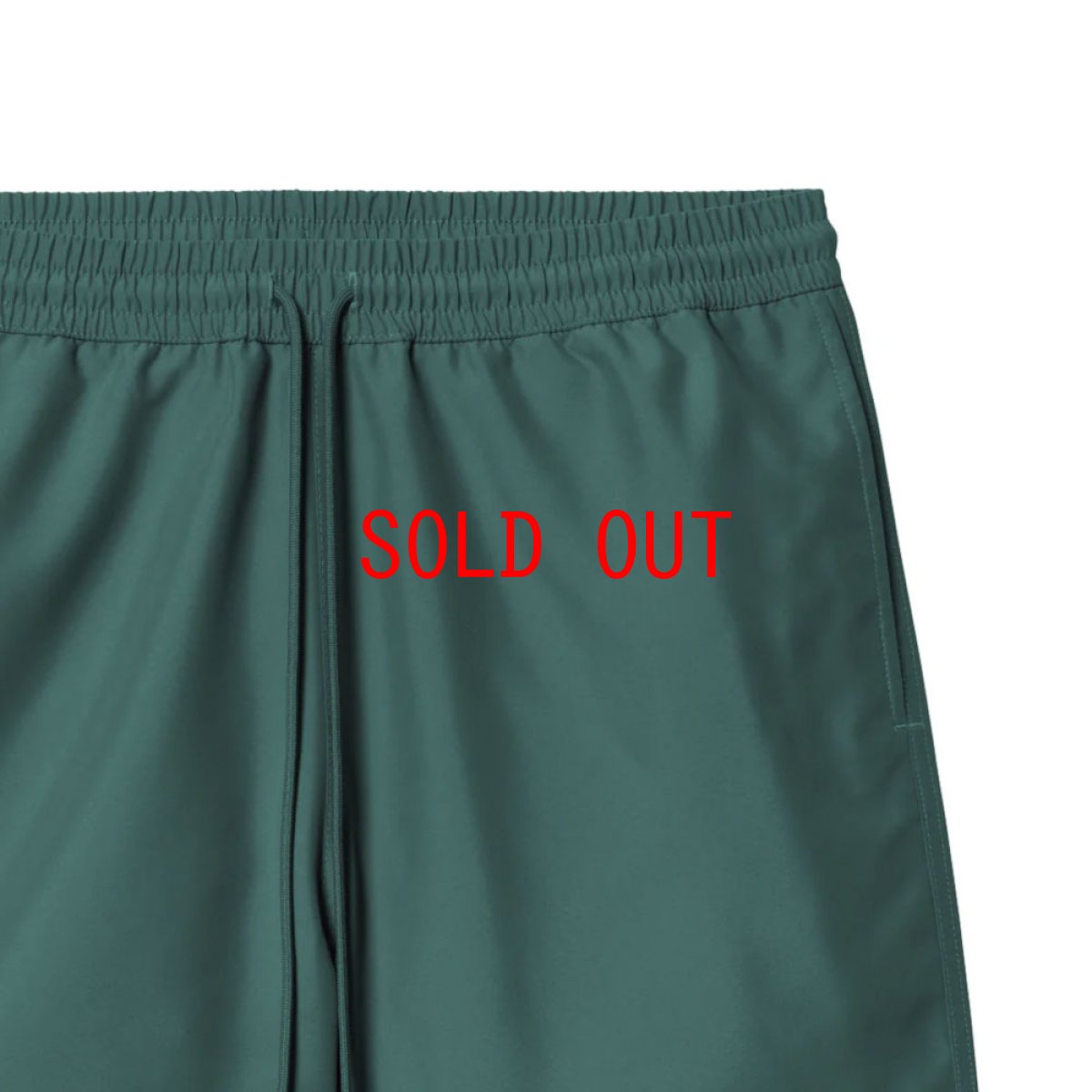 画像10: Chase Swim Trunks GRN 水陸両用 スイム トランクス ショーツ パンツ (10)