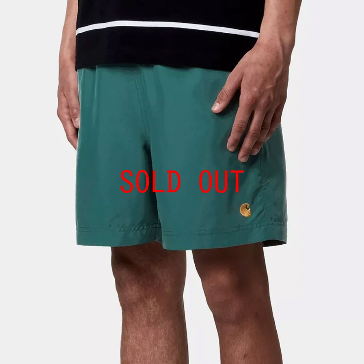 画像2: Chase Swim Trunks GRN 水陸両用 スイム トランクス ショーツ パンツ (2)