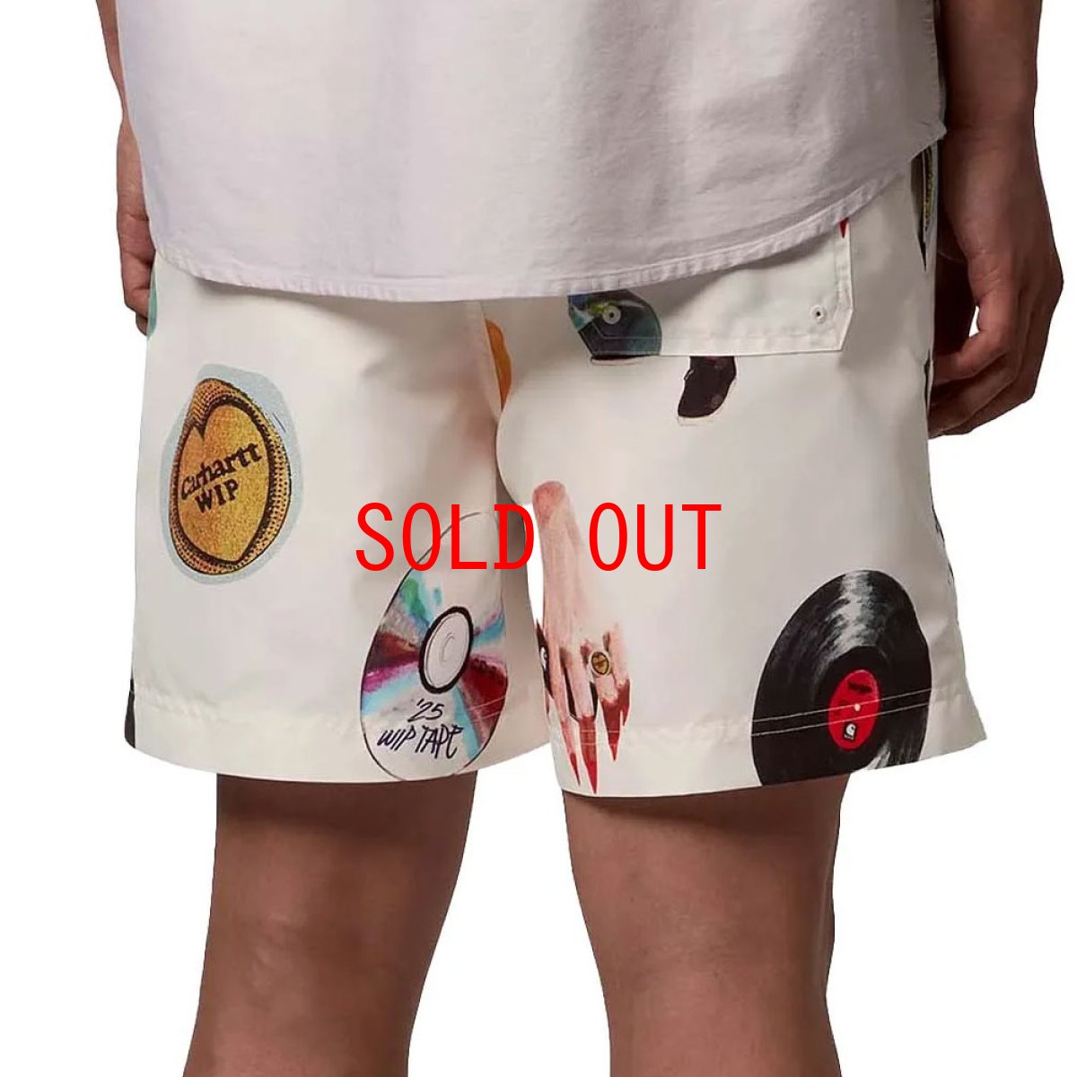 画像8: Slater Swim Jacob Rochester Print Shorts 水陸両用 スイム ショーツ ハーフ パンツ (8)