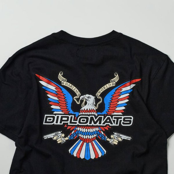 正規取扱店】 Reason(リーズン) Dipset JimJones Tee / Shellter