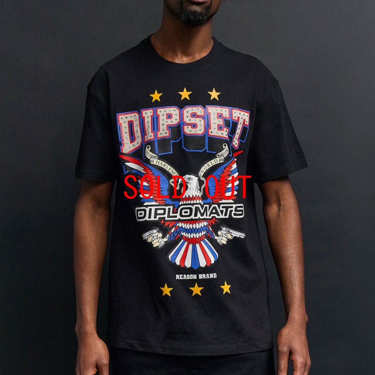 画像1: Dipset Msmbers S/S Tee Diplomats ディプセット 半袖 Tシャツ (1)