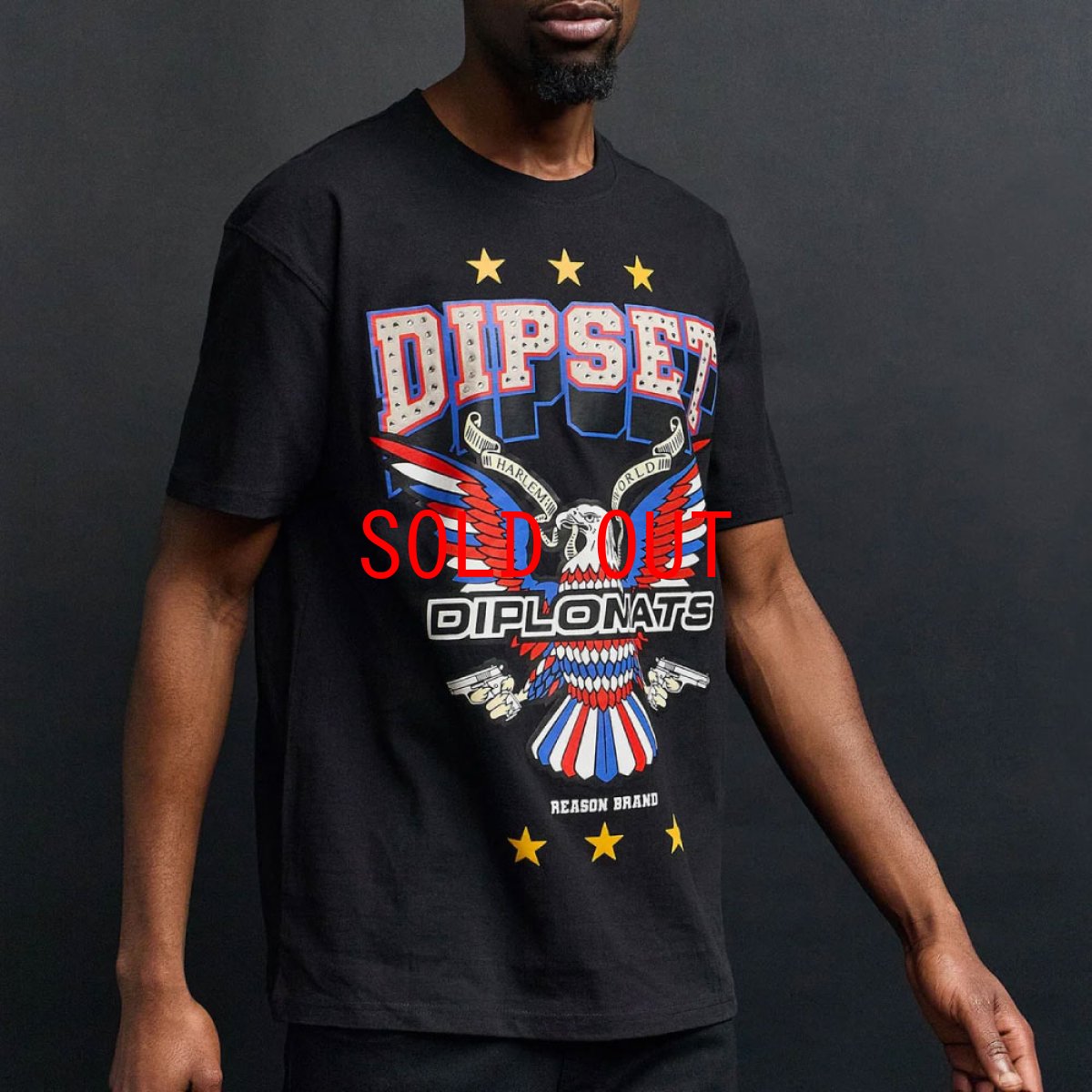 画像6: Dipset Msmbers S/S Tee Diplomats ディプセット 半袖 Tシャツ (6)