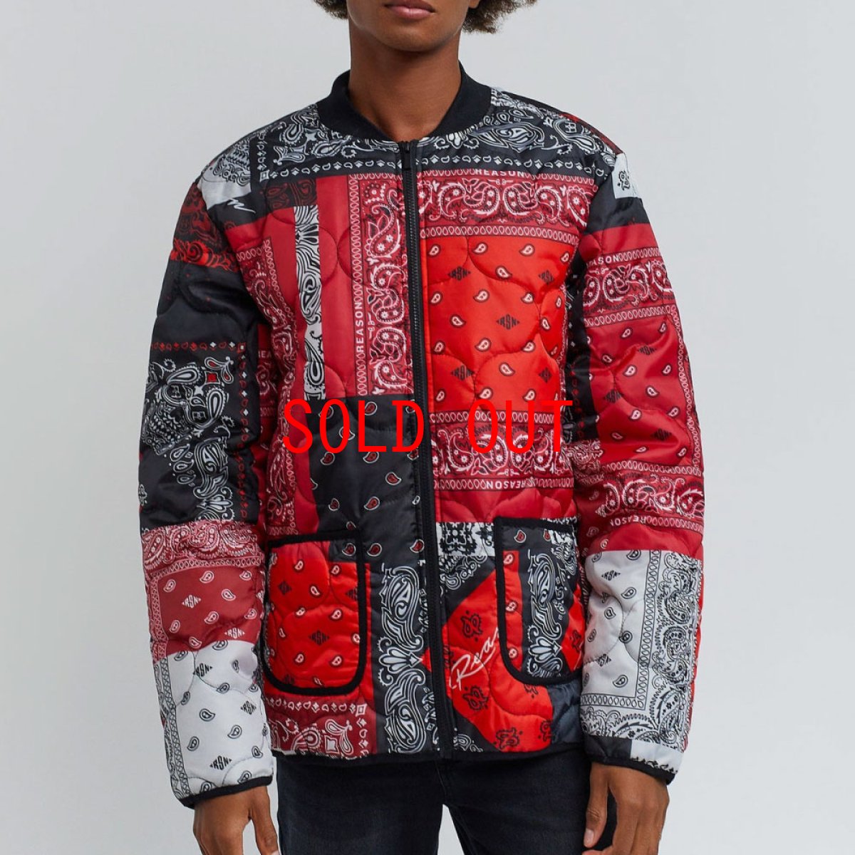 画像4: Paisley Quilted Jacket ペイズリー キルティング ジャケット (4)