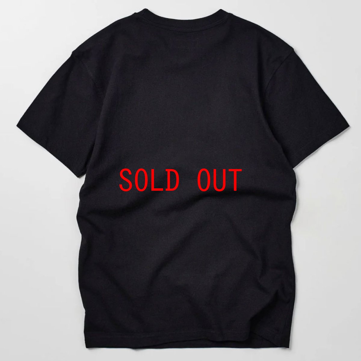画像3: Dipset Msmbers S/S Tee Diplomats ディプセット 半袖 Tシャツ (3)