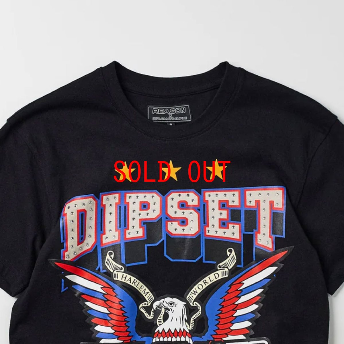 画像7: Dipset Msmbers S/S Tee Diplomats ディプセット 半袖 Tシャツ (7)
