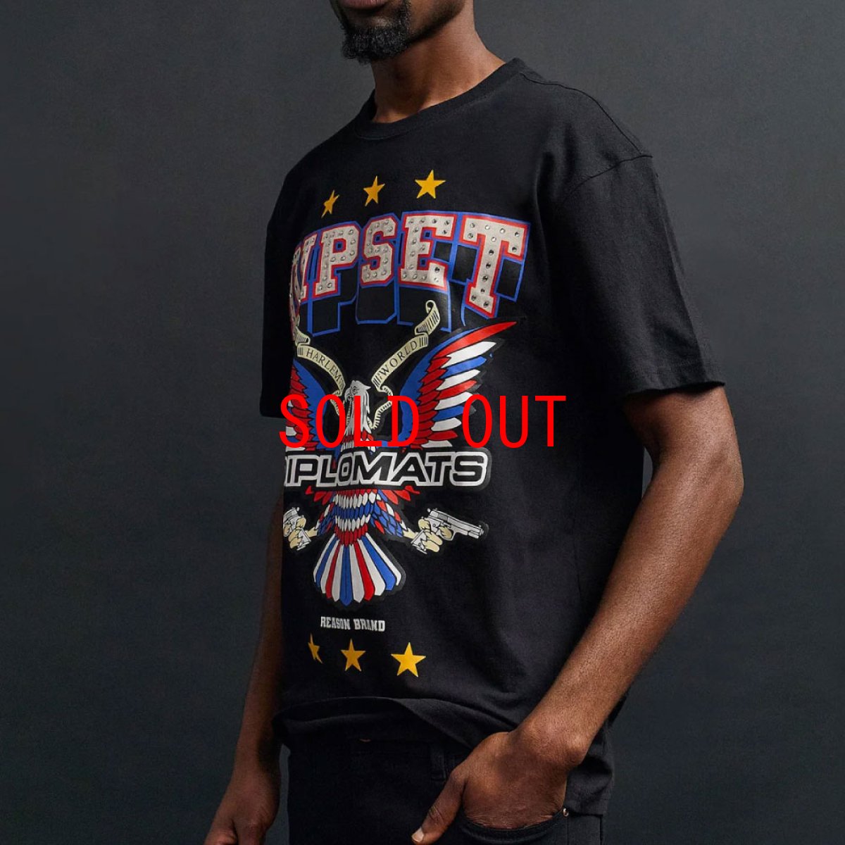 画像4: Dipset Msmbers S/S Tee Diplomats ディプセット 半袖 Tシャツ (4)