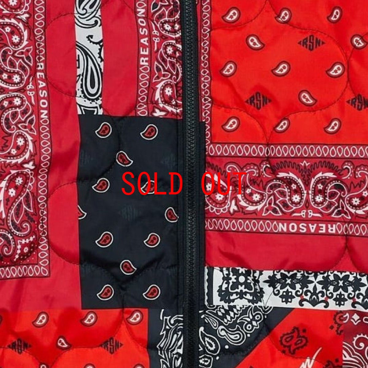 画像6: Paisley Quilted Jacket ペイズリー キルティング ジャケット (6)