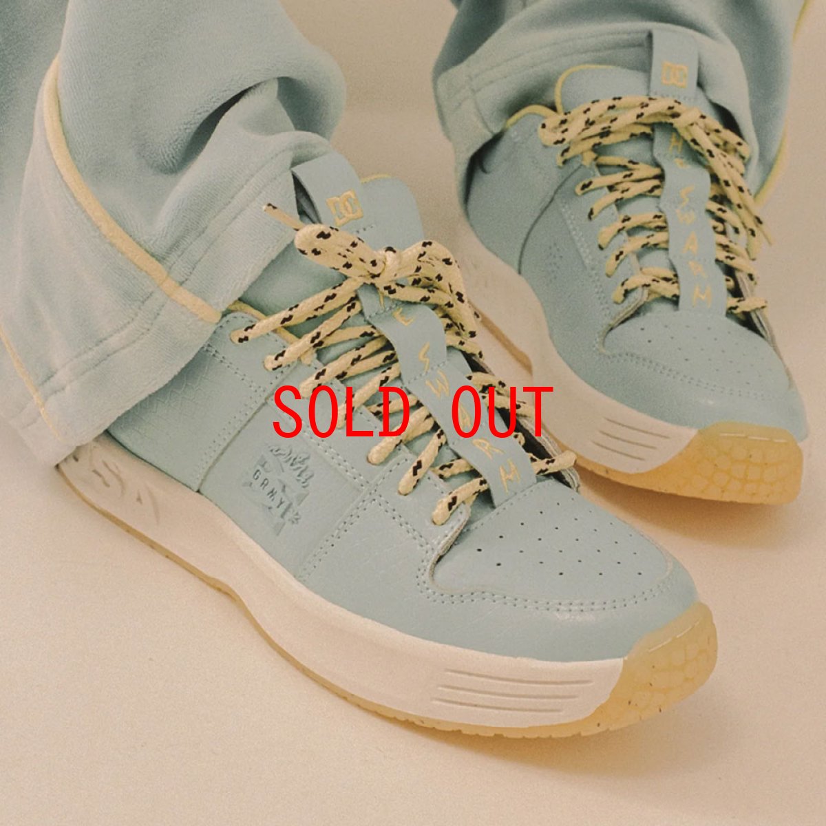 画像1: GRMY ｘ DC Shoes “The Swarm - Lynx Grimey” Blue (1)