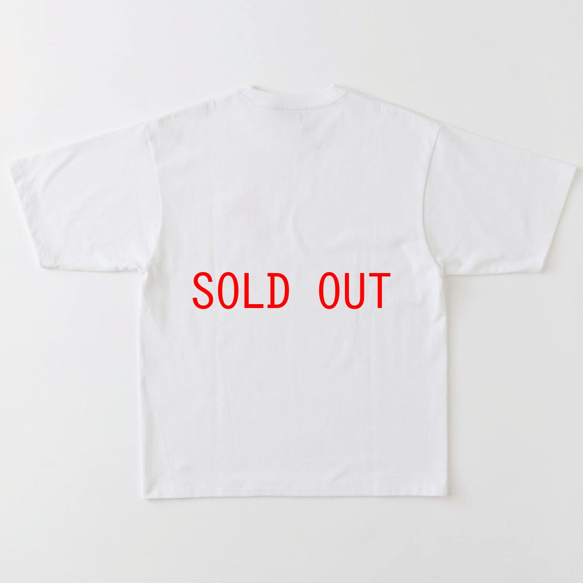 画像3: FAT N.T. "ENRAI" S/S Tee WHT 半袖 ヘビーオンス 元禄文化 Tシャツ F.A.T. (3)