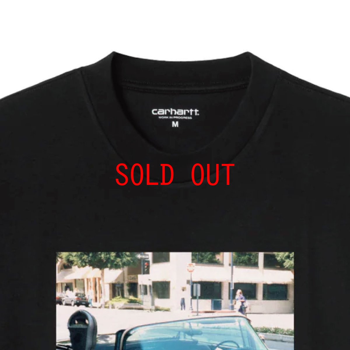 画像6: Carhartt WIP Warm Views S/S Photo Tee Black 半袖 フォト グラフィックTシャツ ブラック (6)