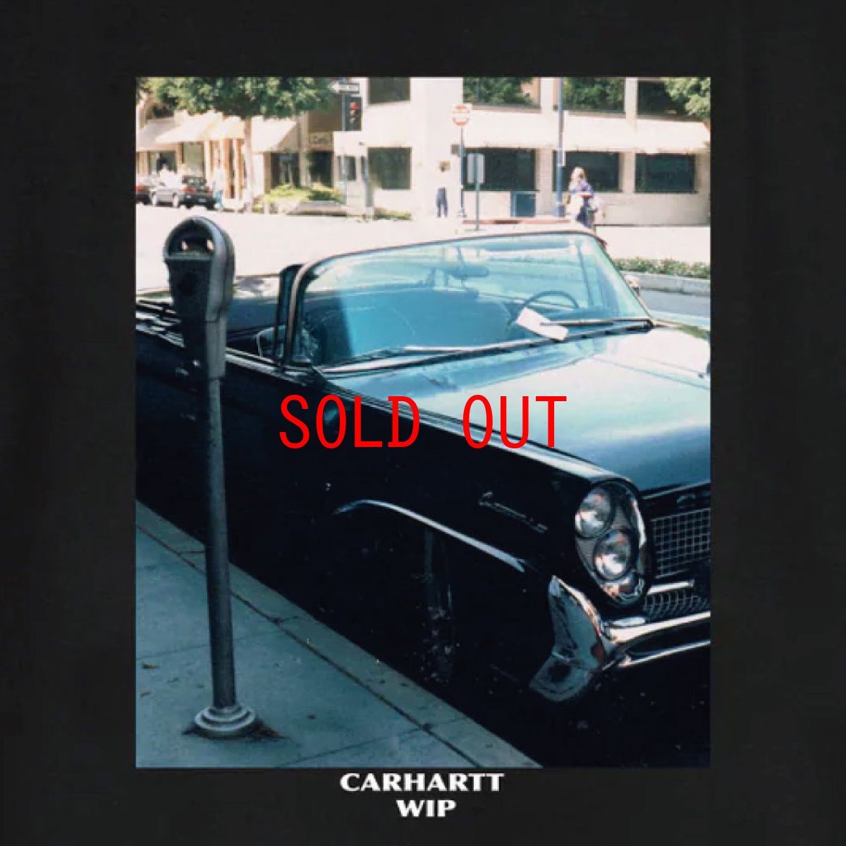 画像4: Carhartt WIP Warm Views S/S Photo Tee Black 半袖 フォト グラフィックTシャツ ブラック (4)