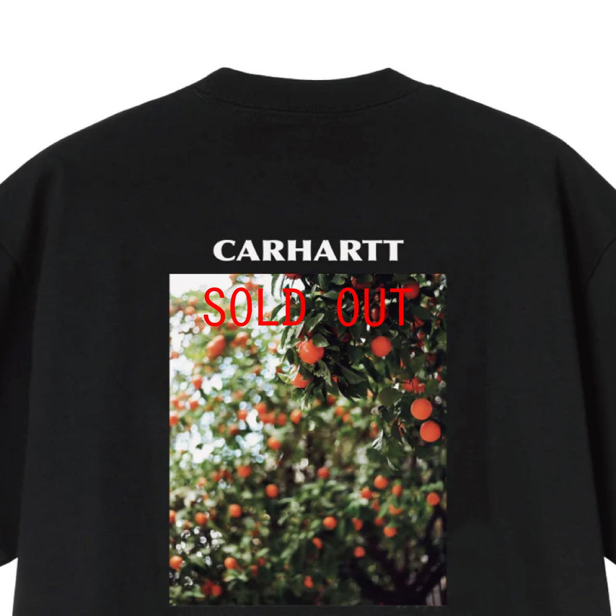 画像9: Carhartt WIP Warm Views S/S Photo Tee Black 半袖 フォト グラフィックTシャツ ブラック (9)
