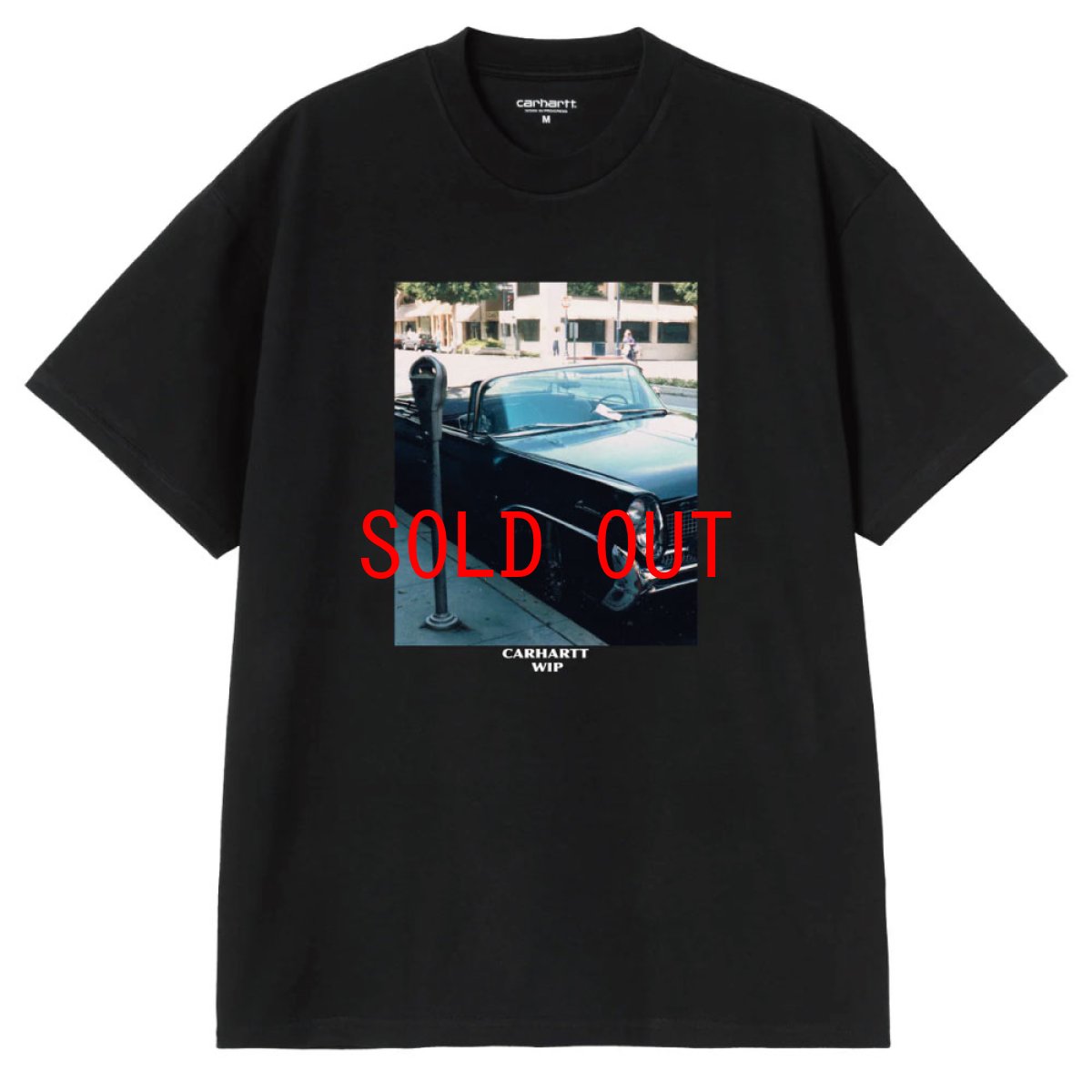 画像2: Carhartt WIP Warm Views S/S Photo Tee Black 半袖 フォト グラフィックTシャツ ブラック (2)