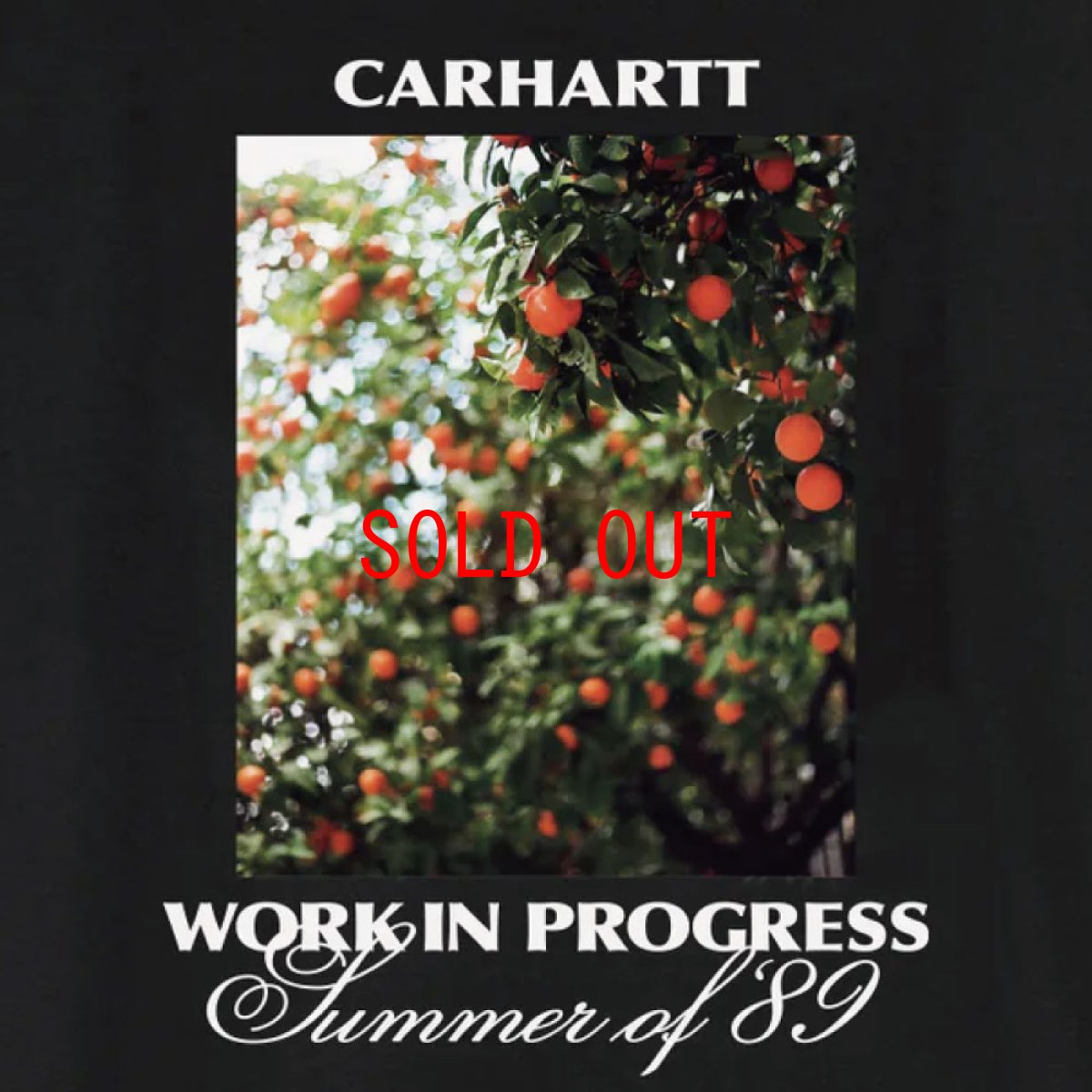 画像5: Carhartt WIP Warm Views S/S Photo Tee Black 半袖 フォト グラフィックTシャツ ブラック (5)