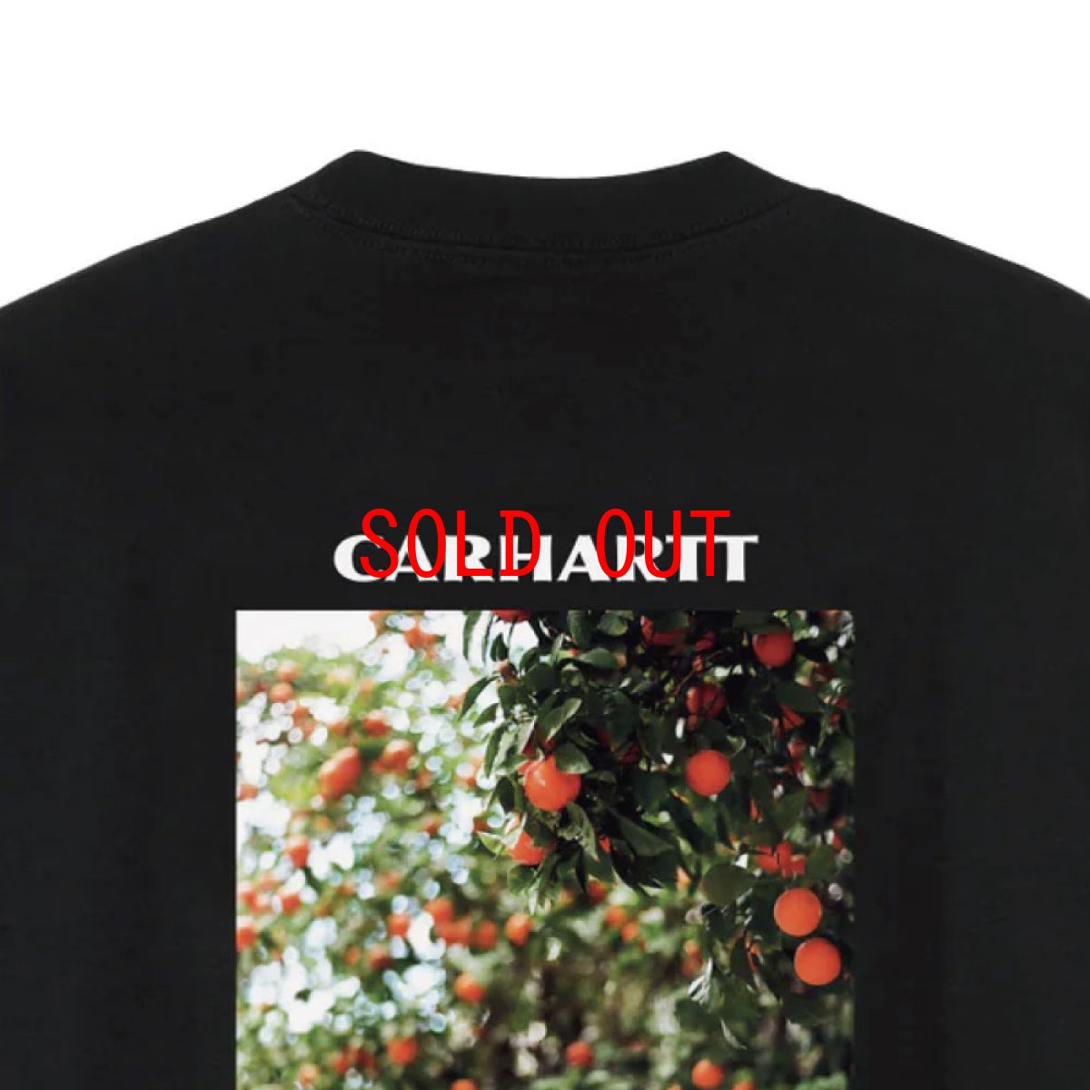 画像7: Carhartt WIP Warm Views S/S Photo Tee Black 半袖 フォト グラフィックTシャツ ブラック (7)