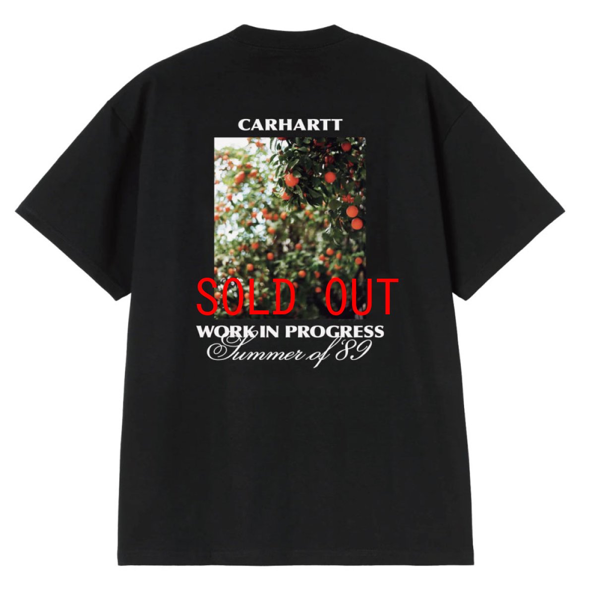 画像3: Carhartt WIP Warm Views S/S Photo Tee Black 半袖 フォト グラフィックTシャツ ブラック (3)