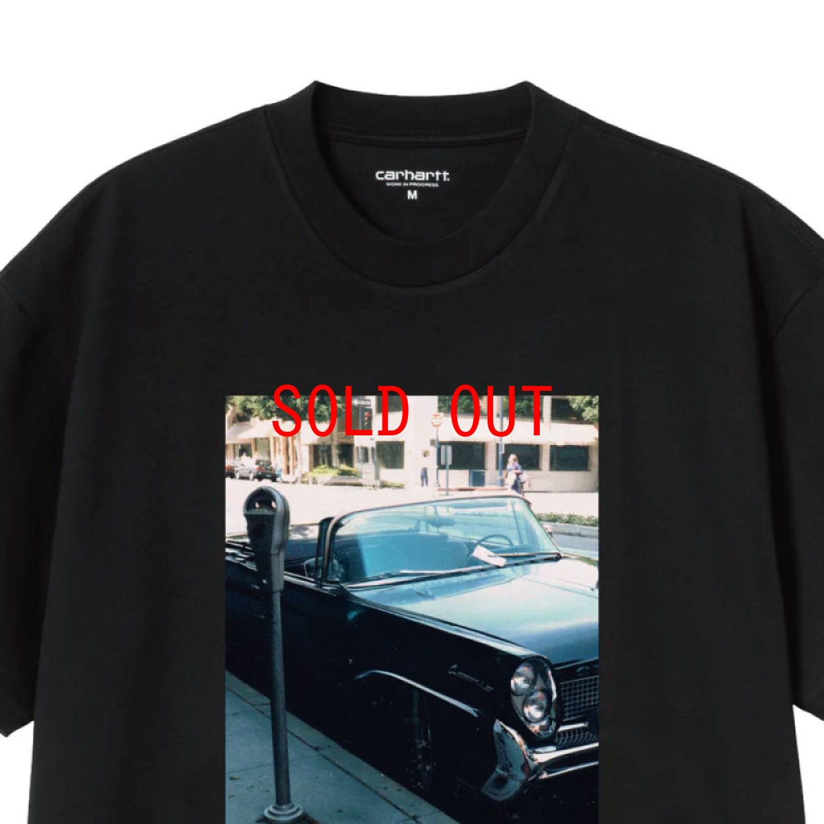 画像8: Carhartt WIP Warm Views S/S Photo Tee Black 半袖 フォト グラフィックTシャツ ブラック (8)
