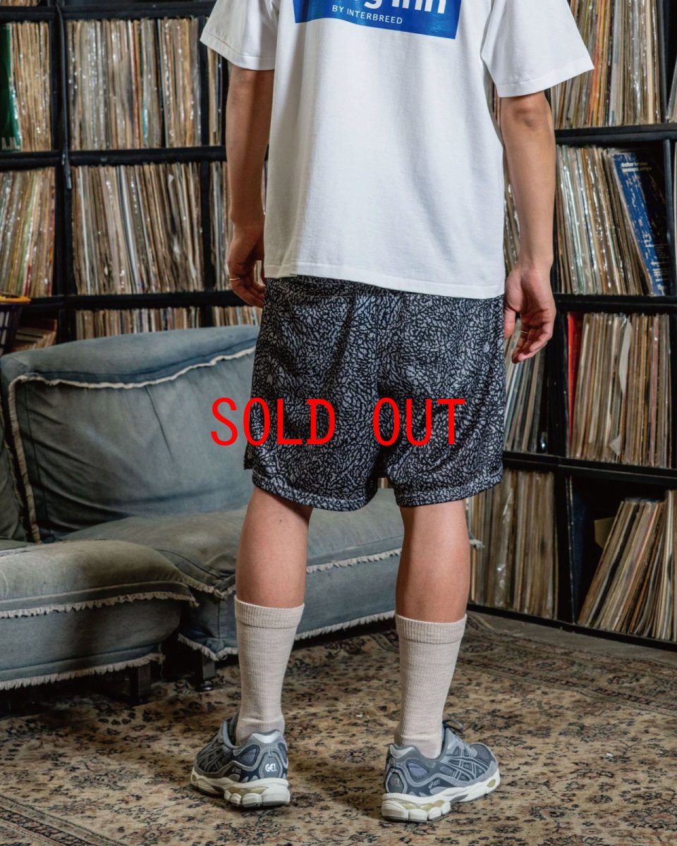 画像2: Interbreed Elephant Training Mesh Shorts トレーニング メッシュ ショーツ バスケジャージ ハーフパンツ (2)