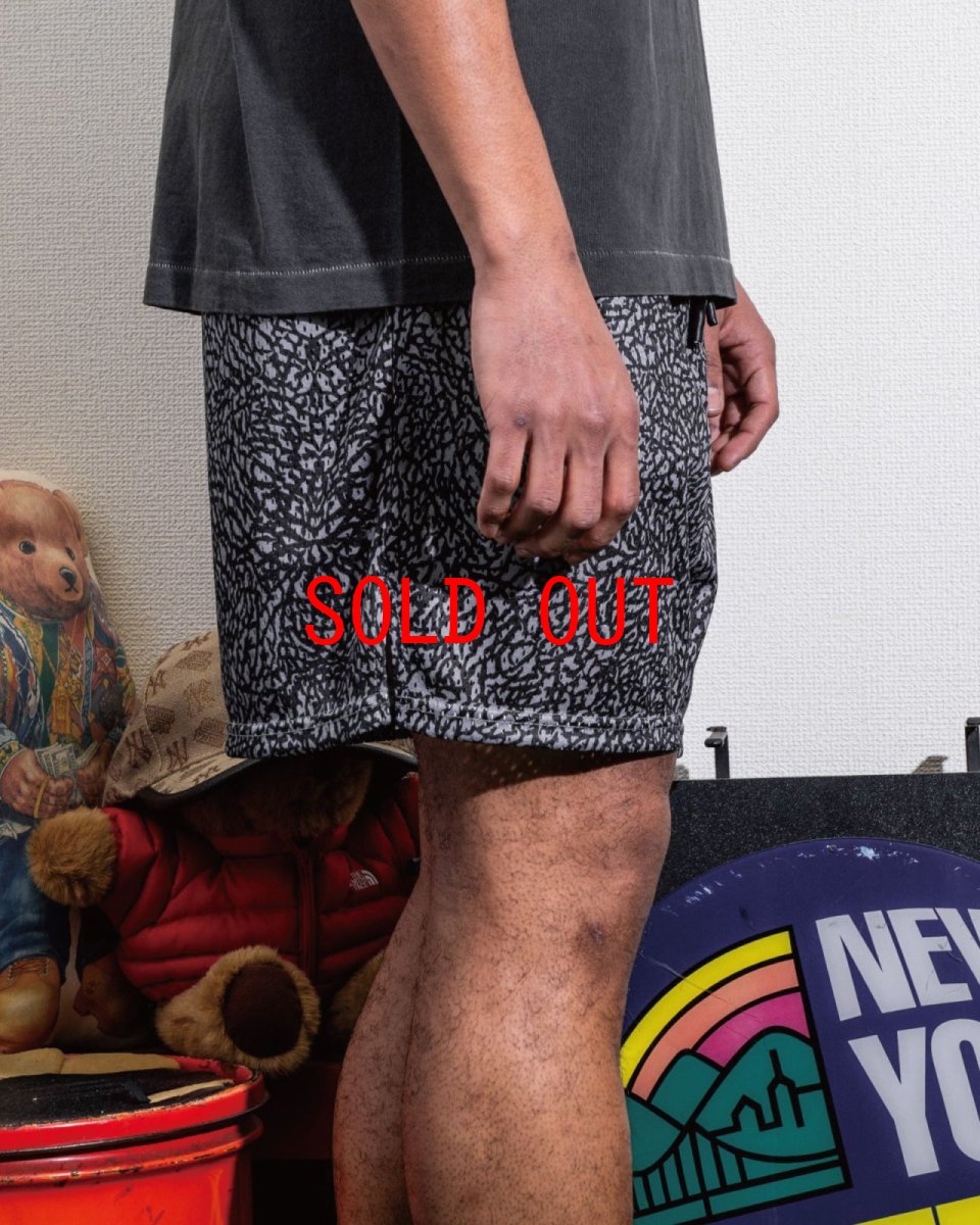画像7: Interbreed Elephant Training Mesh Shorts トレーニング メッシュ ショーツ バスケジャージ ハーフパンツ (7)