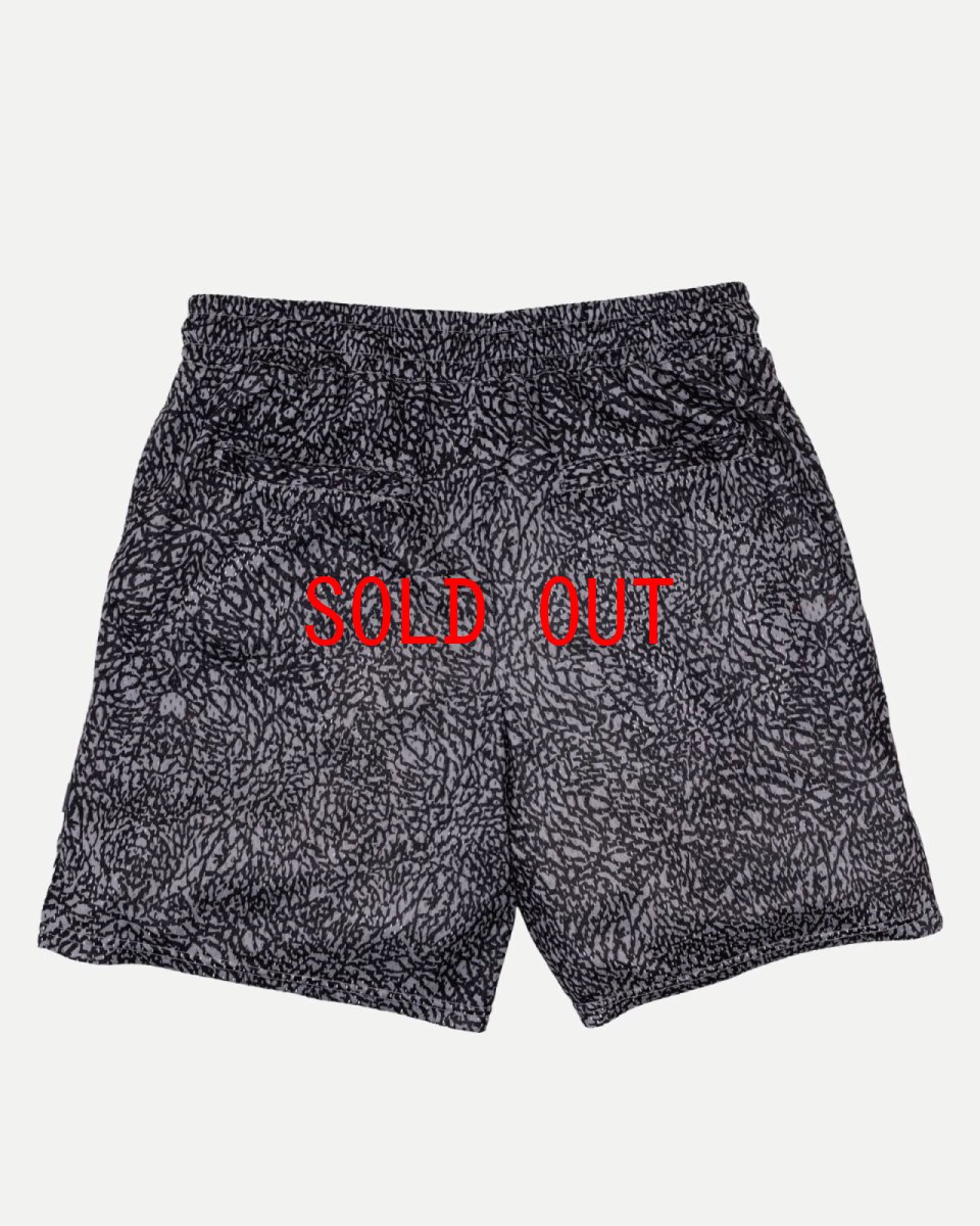 画像4: Interbreed Elephant Training Mesh Shorts トレーニング メッシュ ショーツ バスケジャージ ハーフパンツ (4)